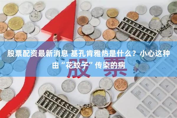 股票配资最新消息 基孔肯雅热是什么？小心这种由“花蚊子”传染的病
